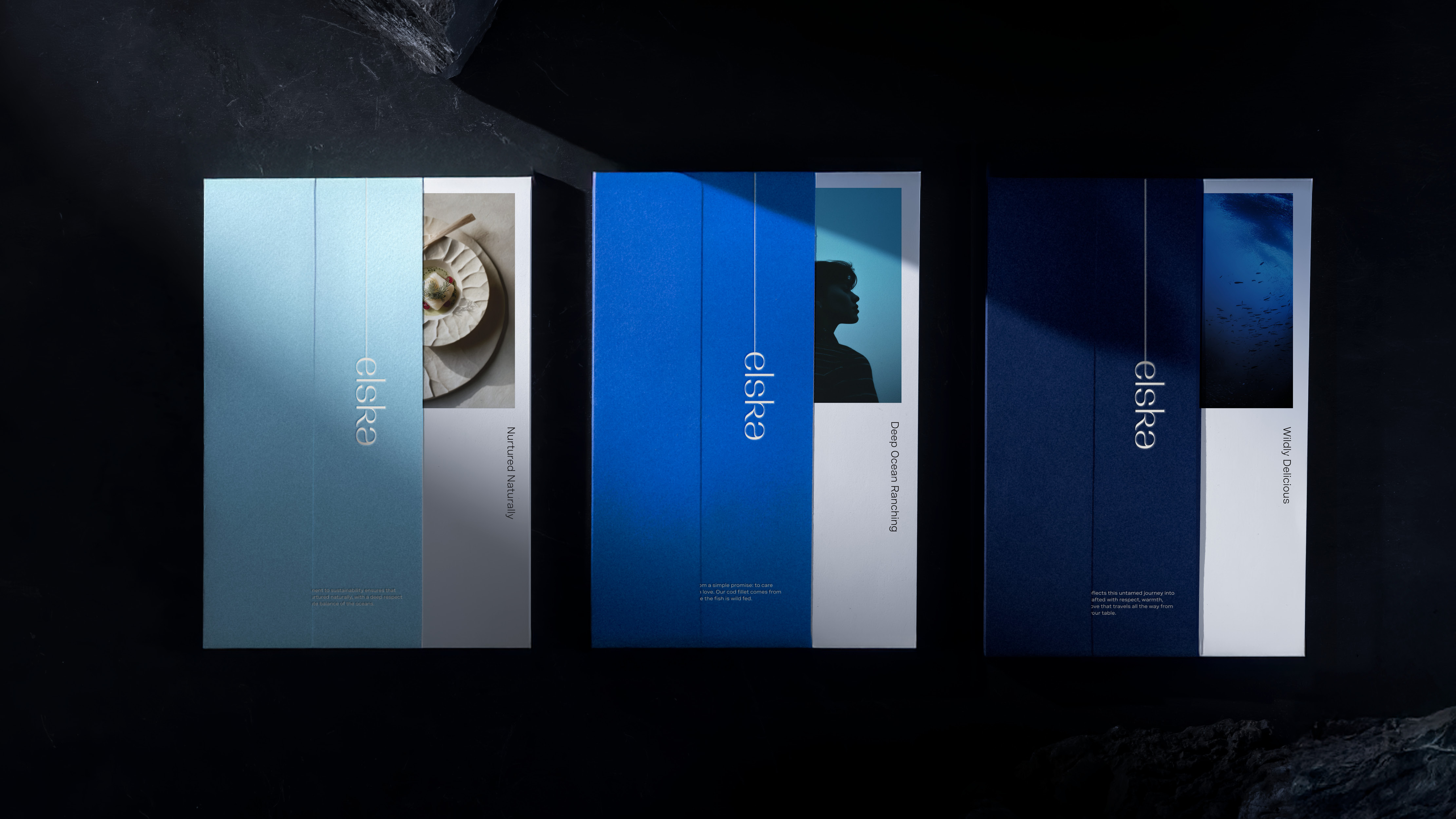 24 Elska identity 310