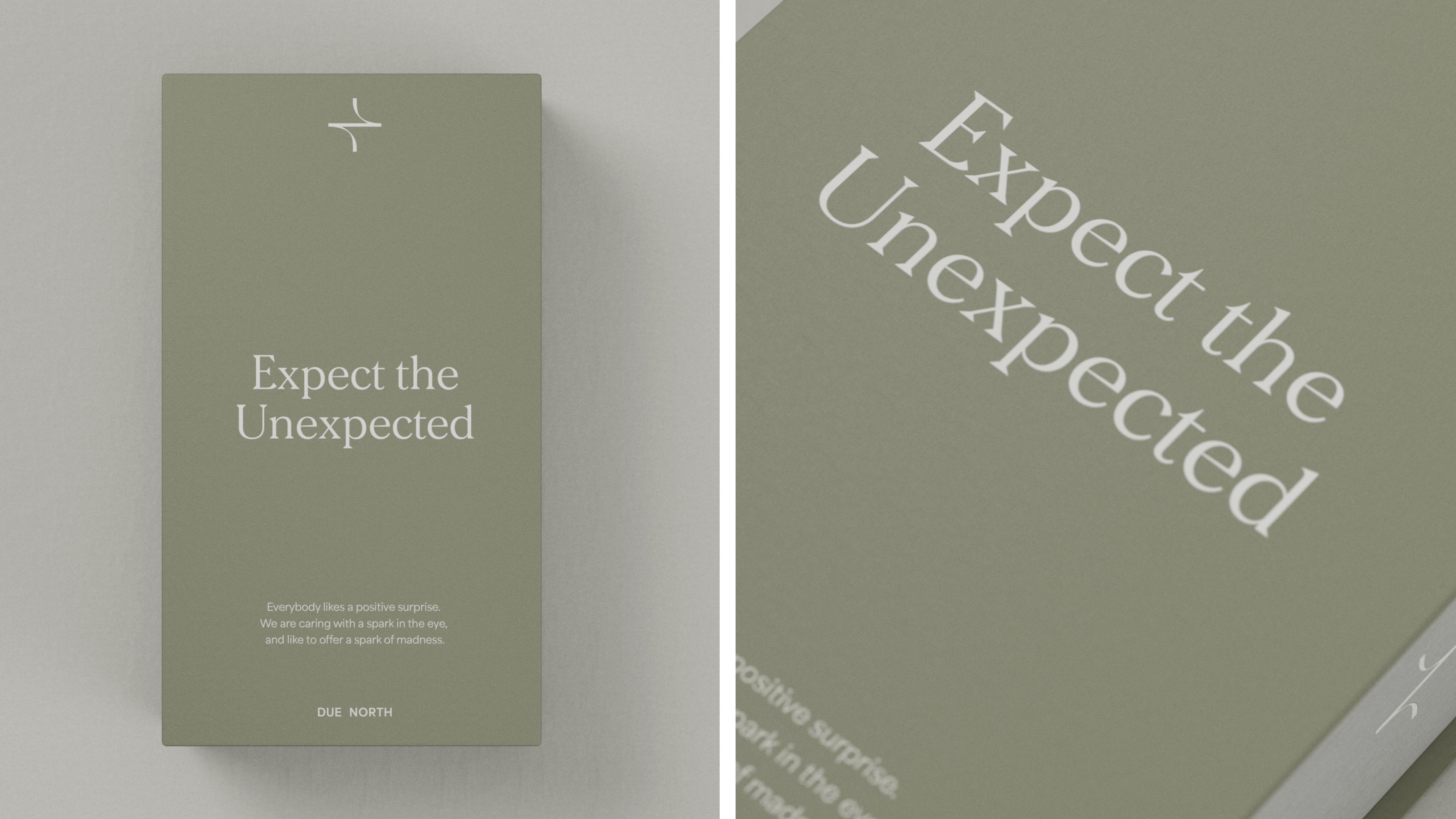 Due North Brand Design Creation 10