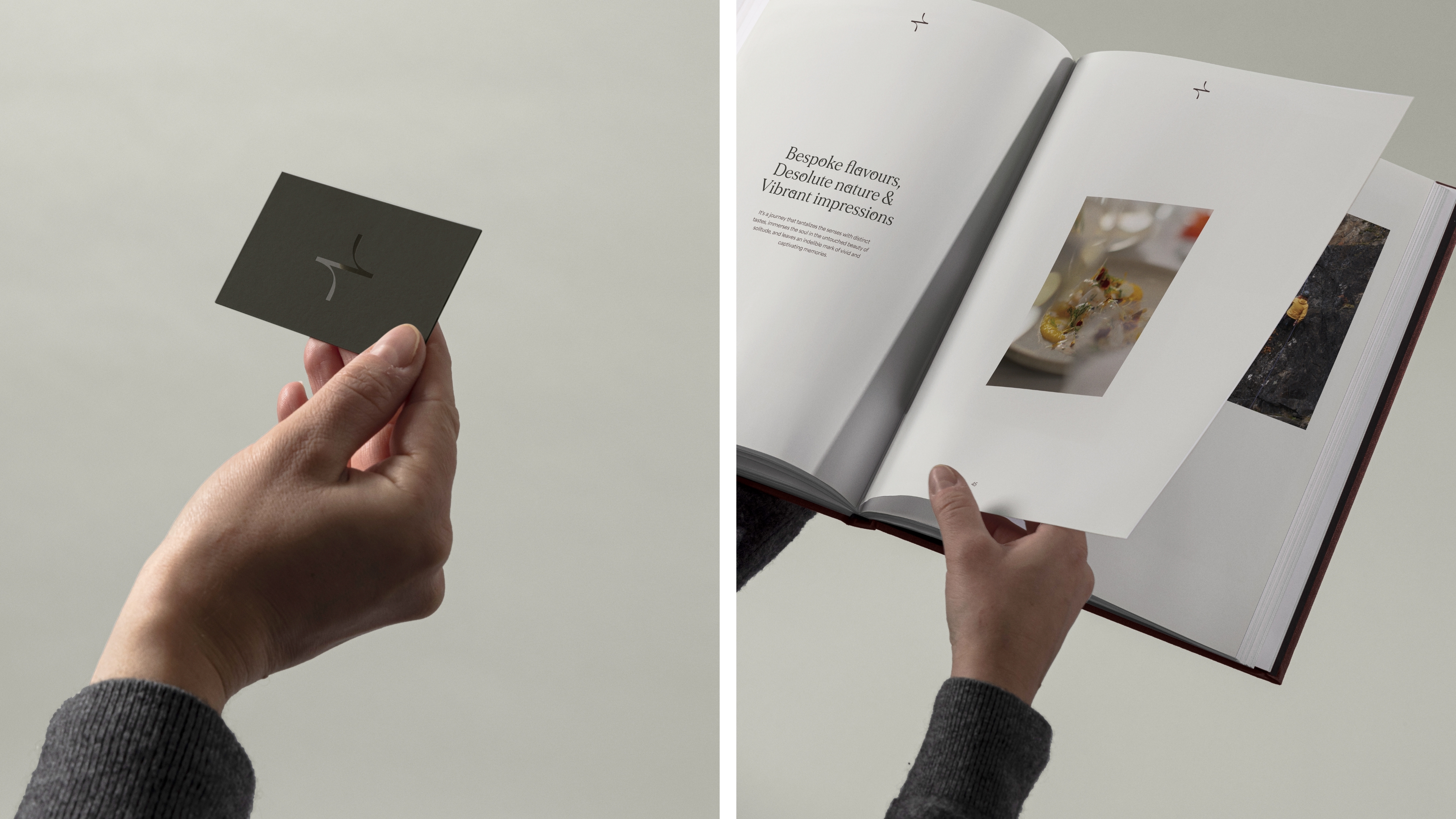 Due North Brand Design Creation 5