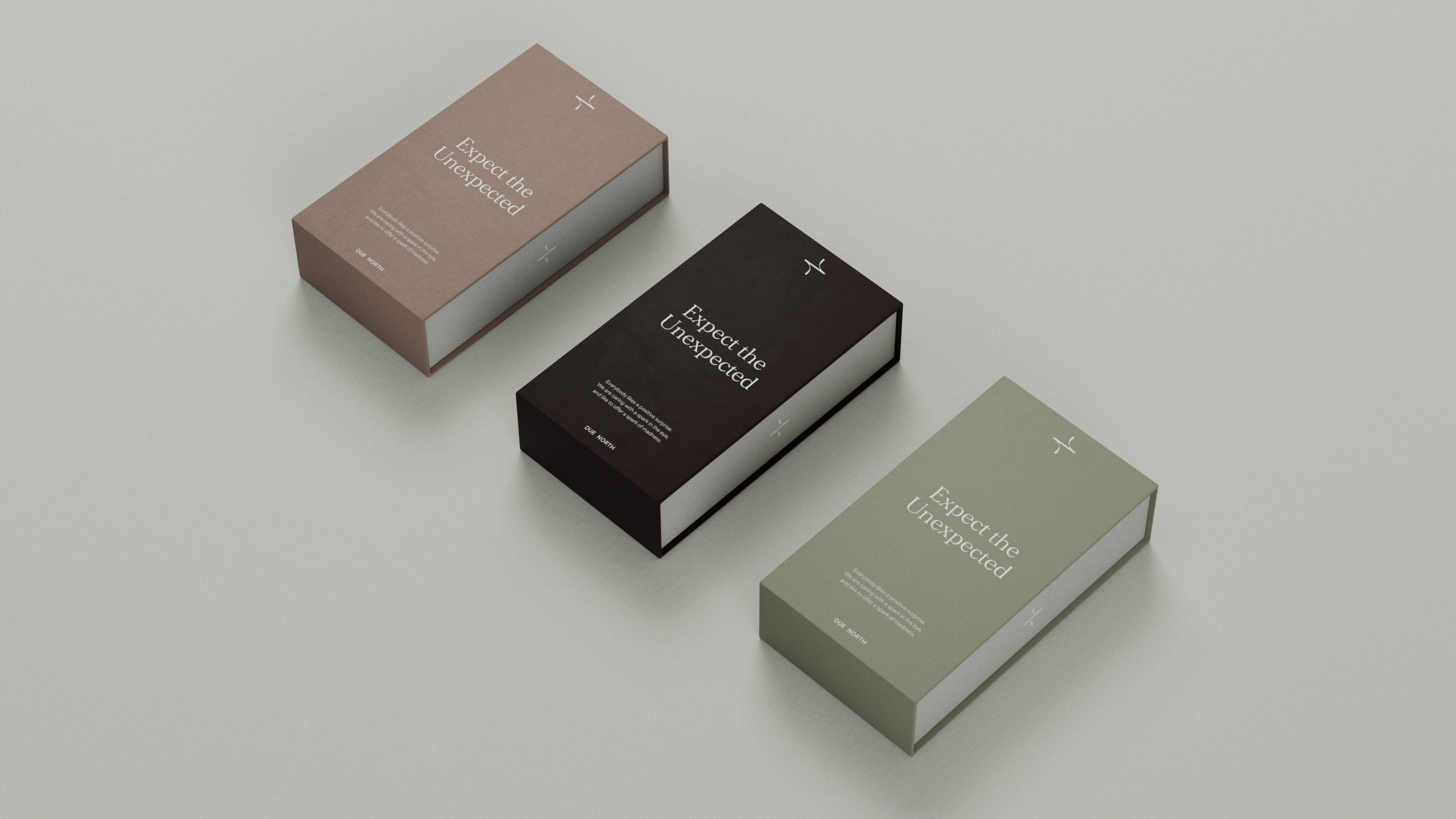 Due North Brand Design Creation 8