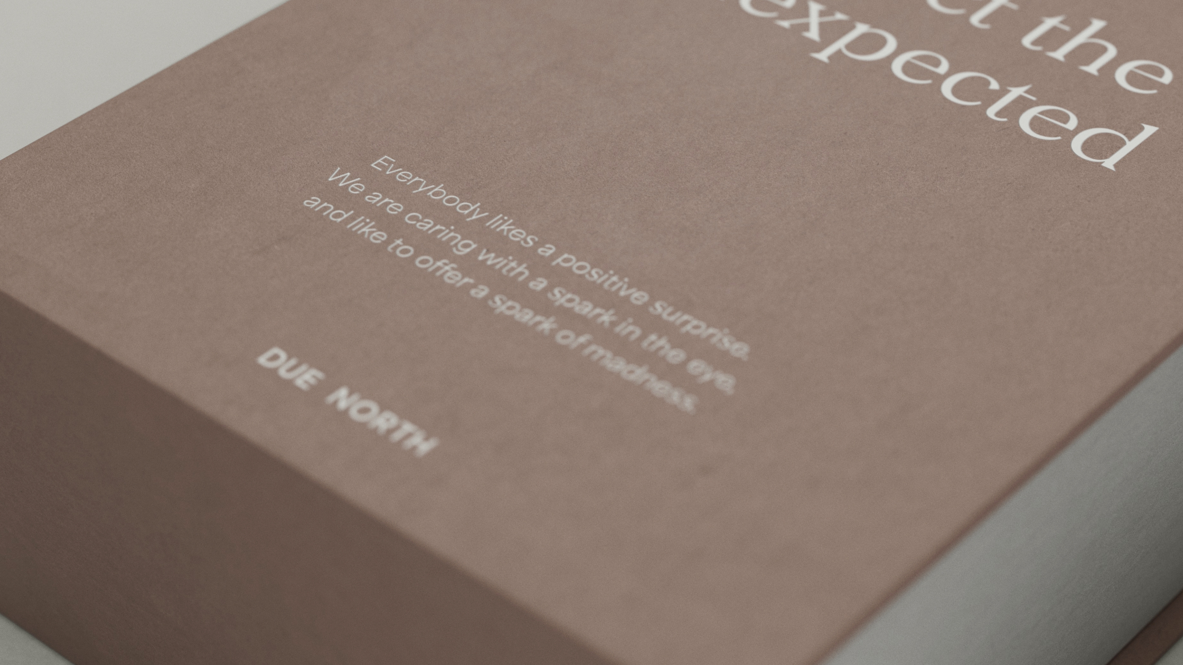 Due North Brand Design Creation 9