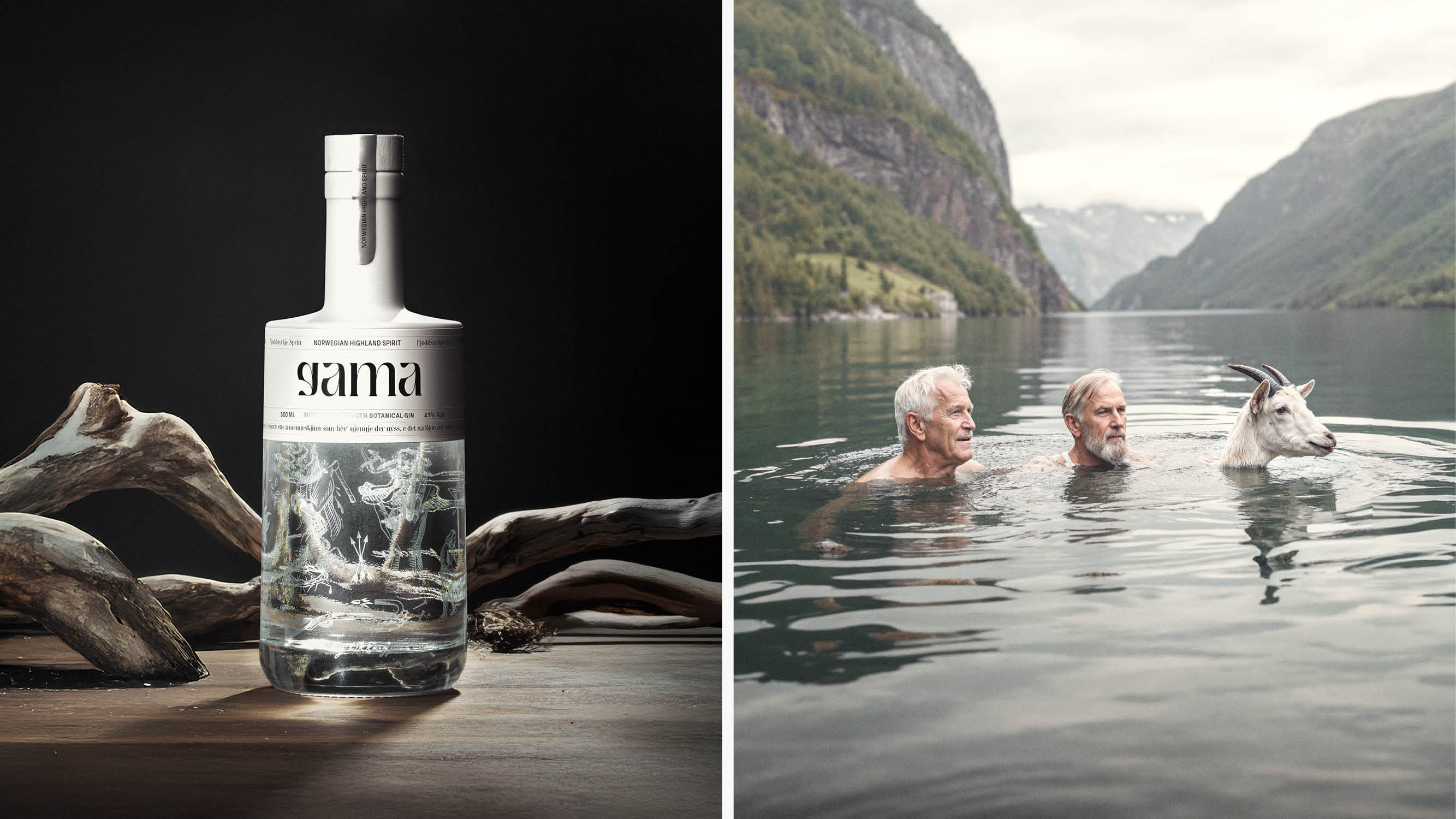 Gama Identity KIND Web14