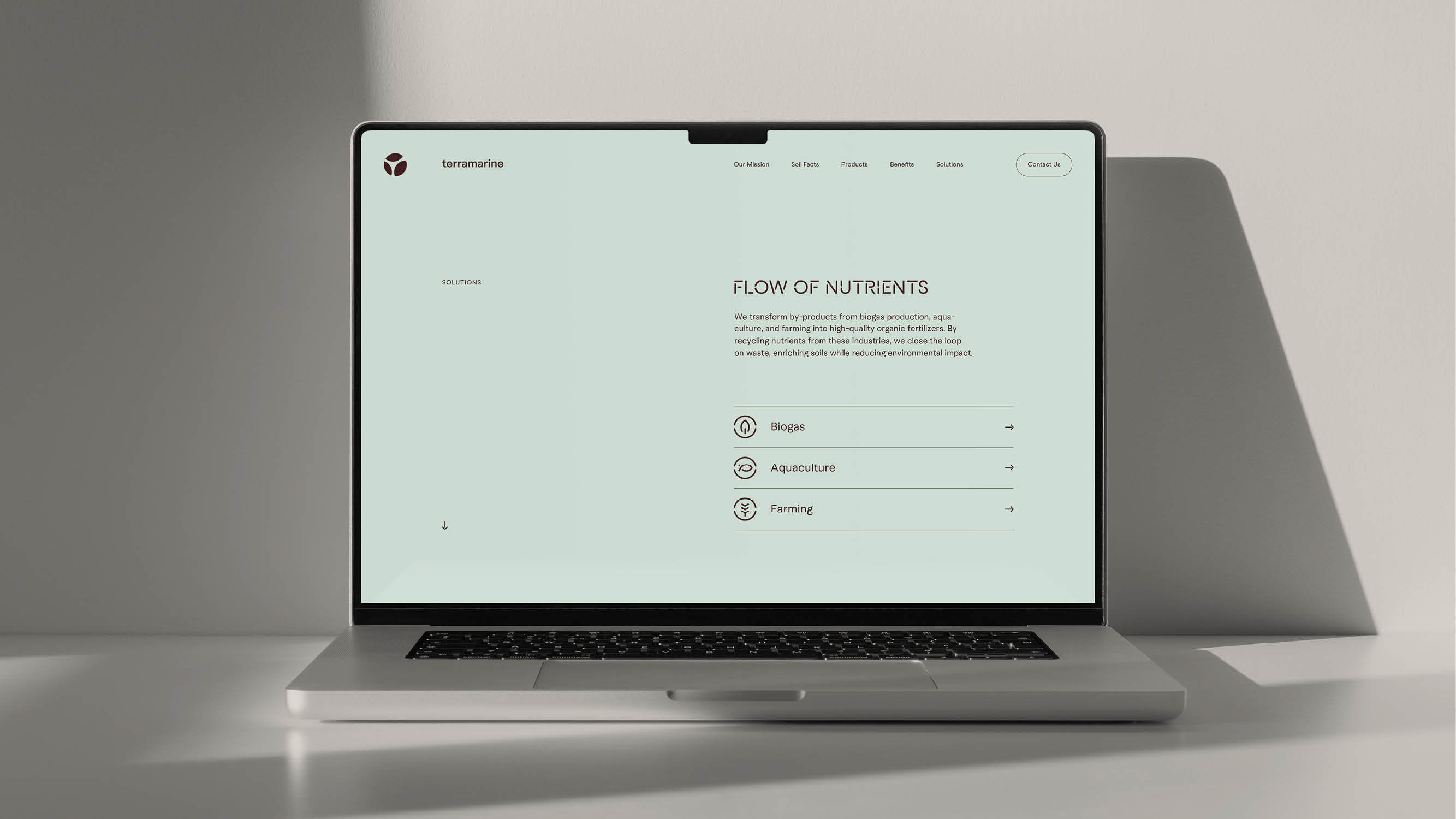 Terramarine Identity KIND Web10 241205 144041