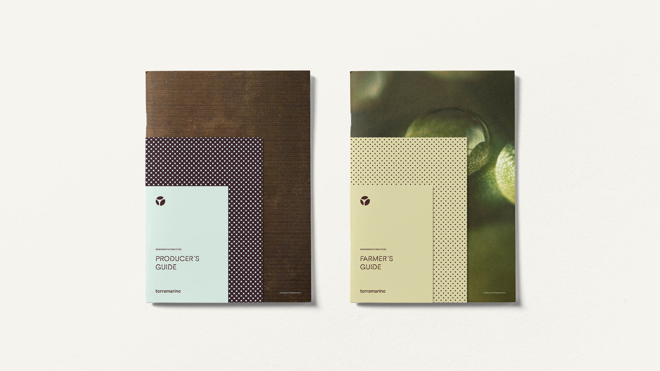 Terramarine Identity KIND Web18 241205 144115