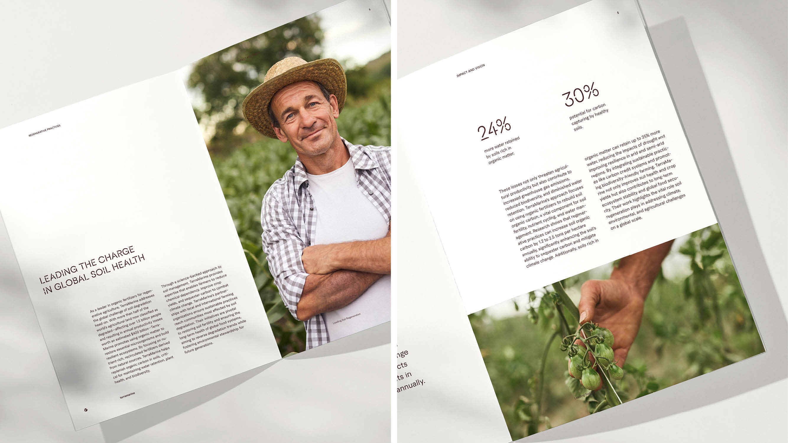 Terramarine Identity KIND Web19 241205 144124