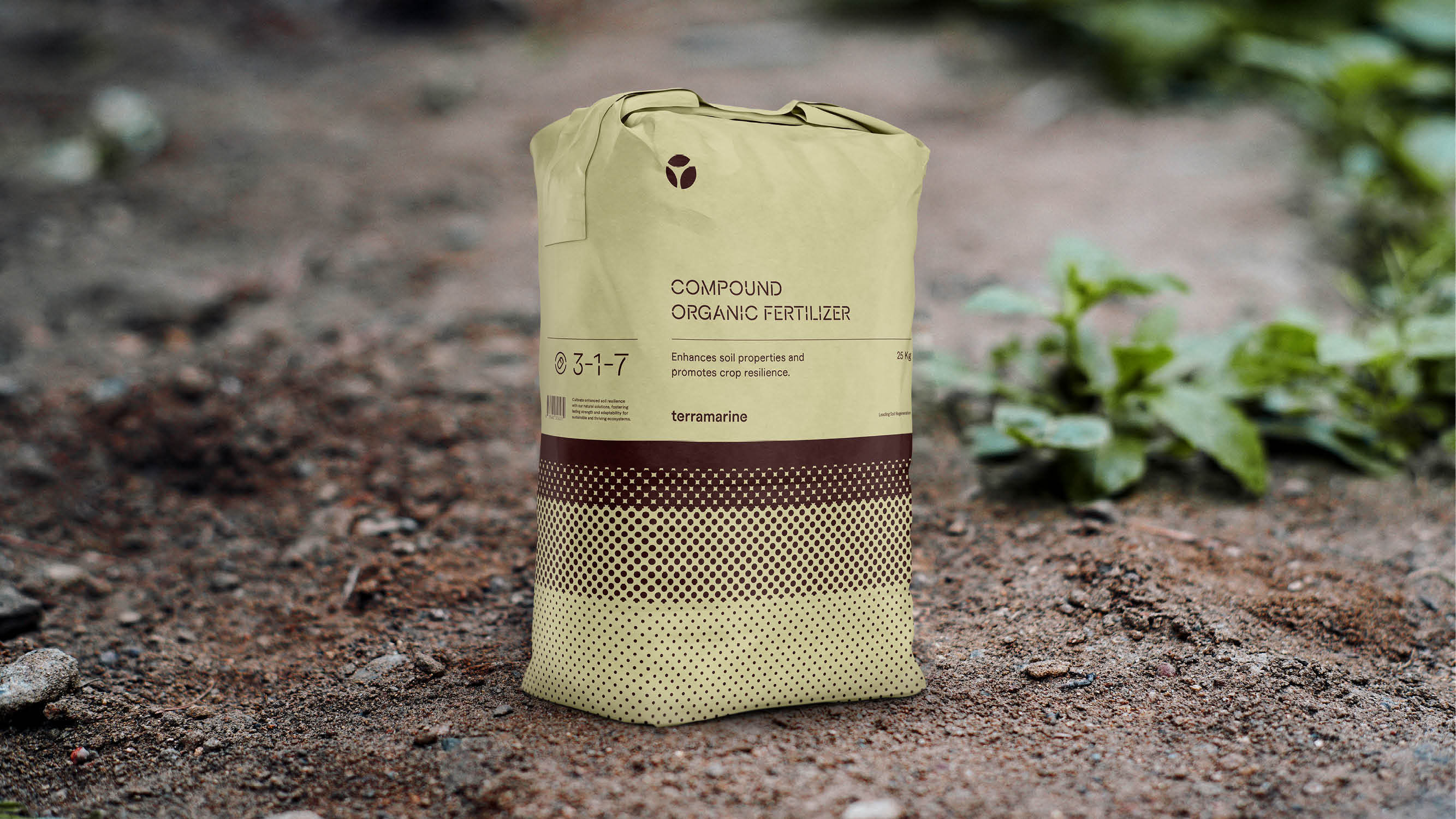 Terramarine Identity KIND Web8 241205 144034