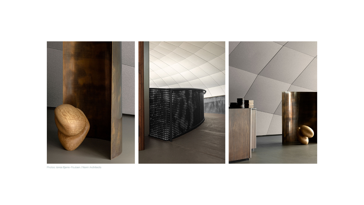 WEB Salmon Eye Pres 6 Interior 210