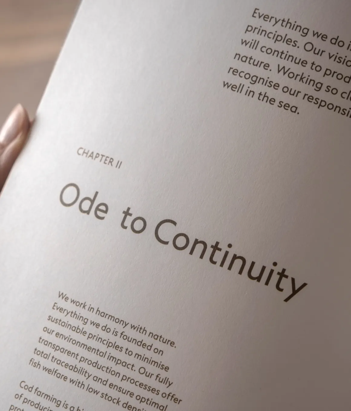 Ode Web 19