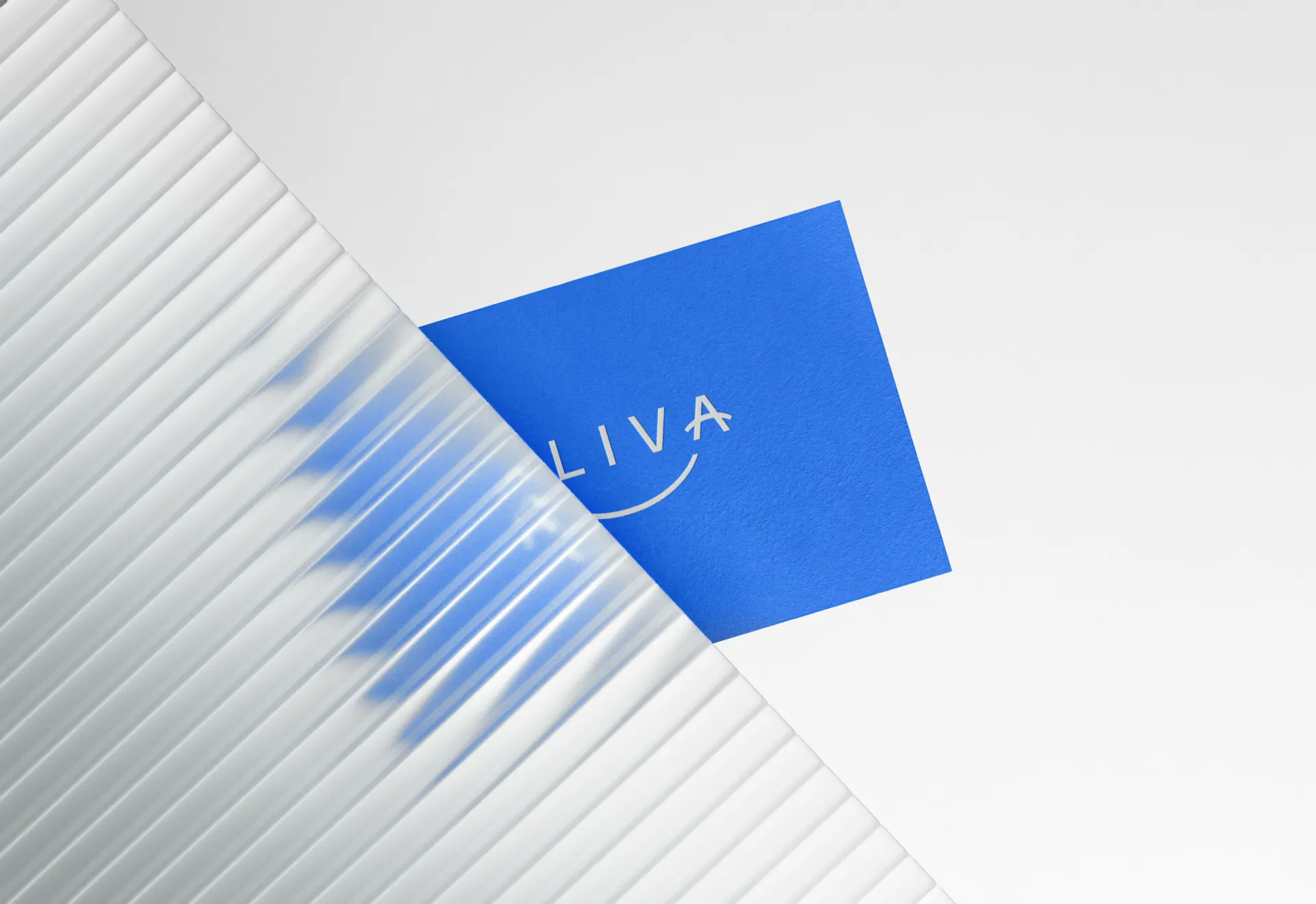Web Aliva Website Doc 4