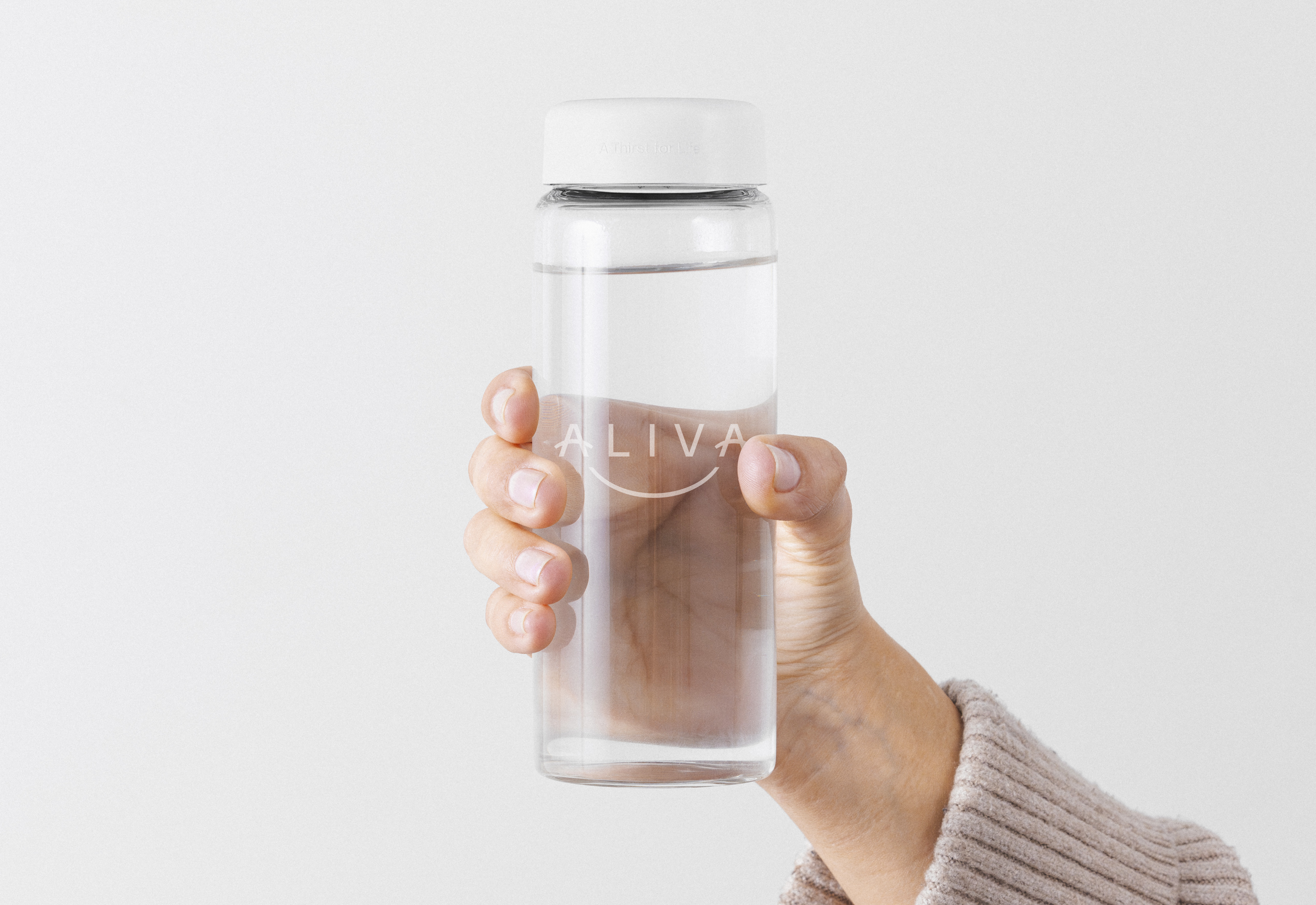 Web Aliva Website Doc 18