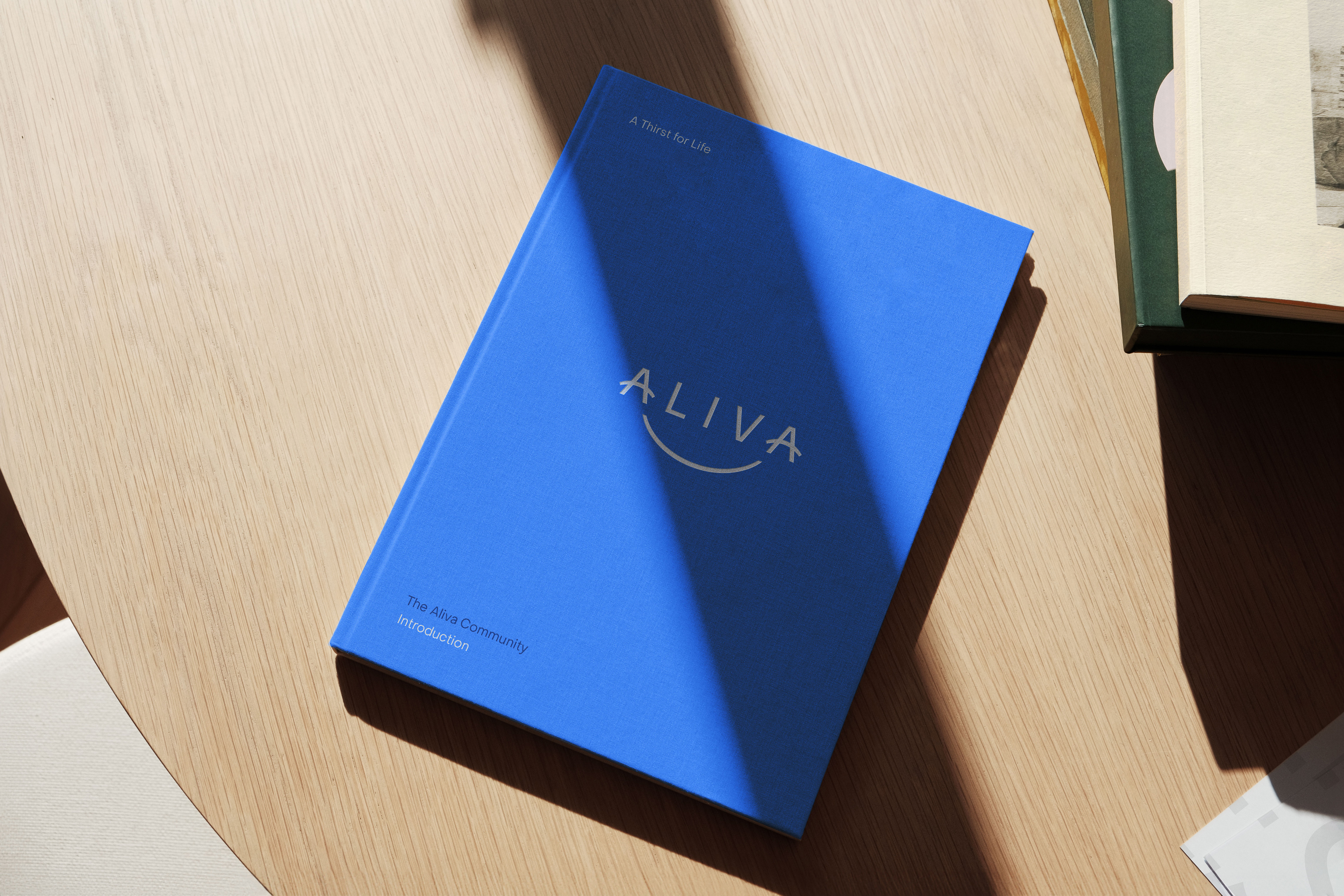 Web Aliva Website Doc 22