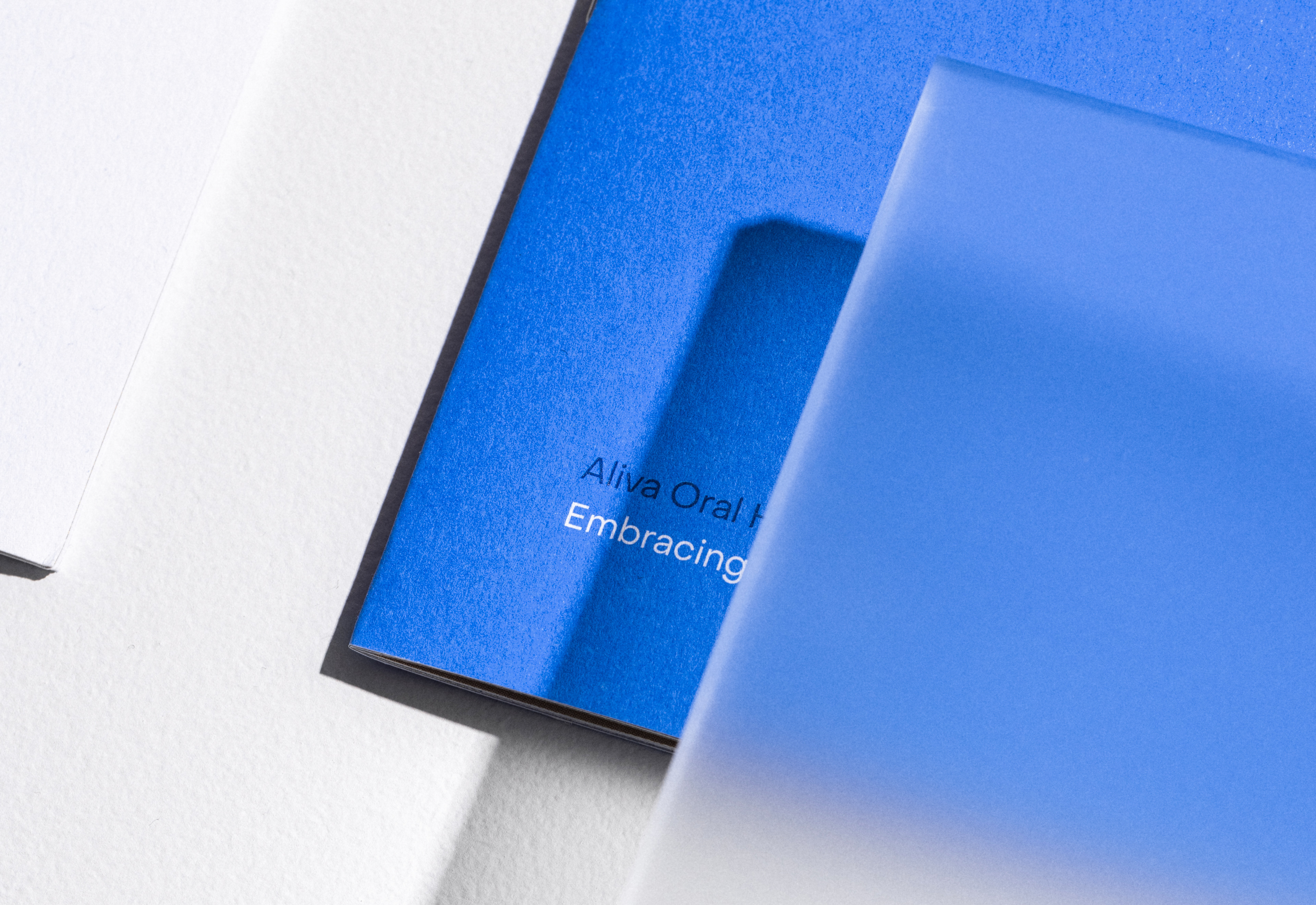 Web Aliva Website Doc 7