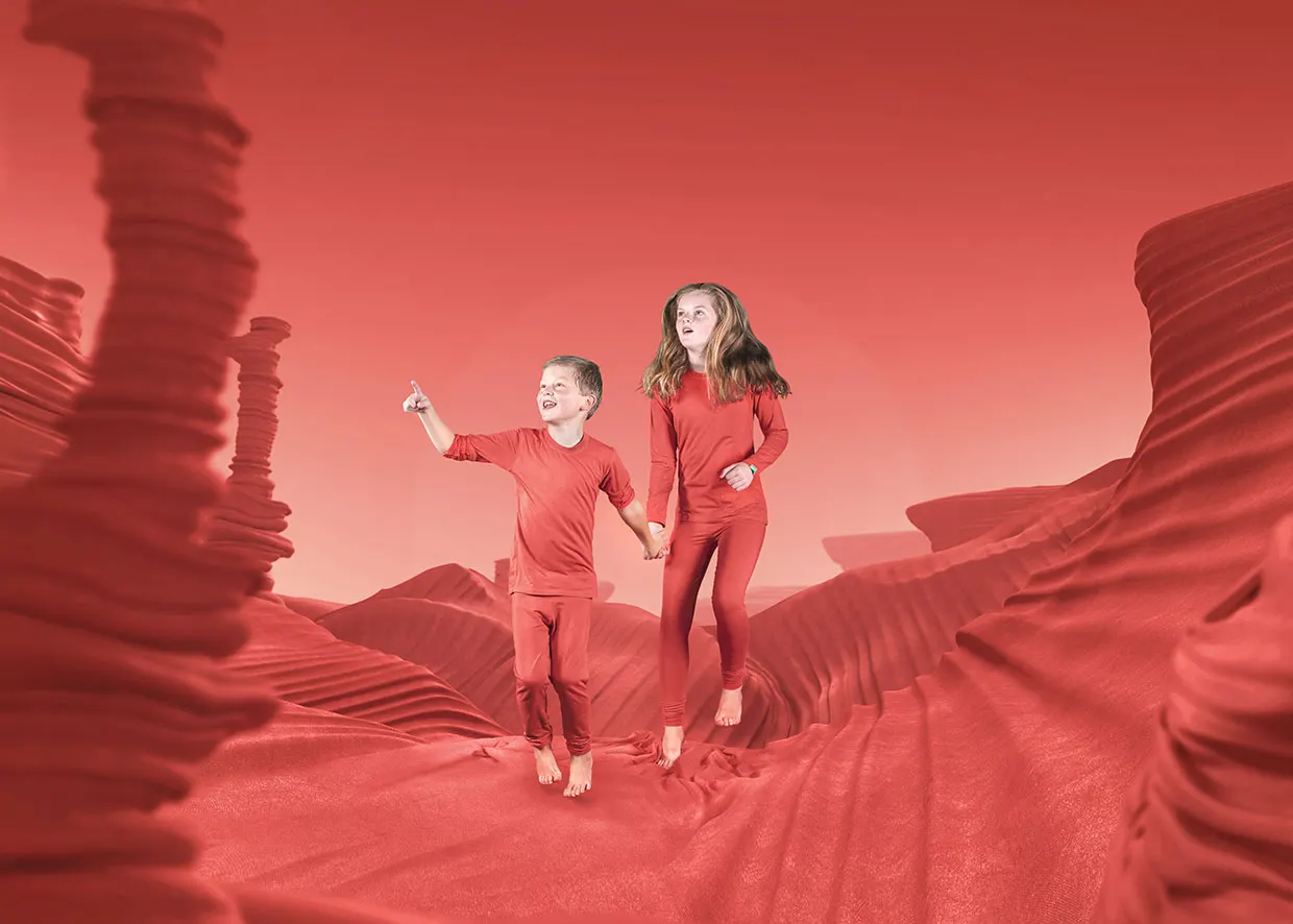 Red Concept
