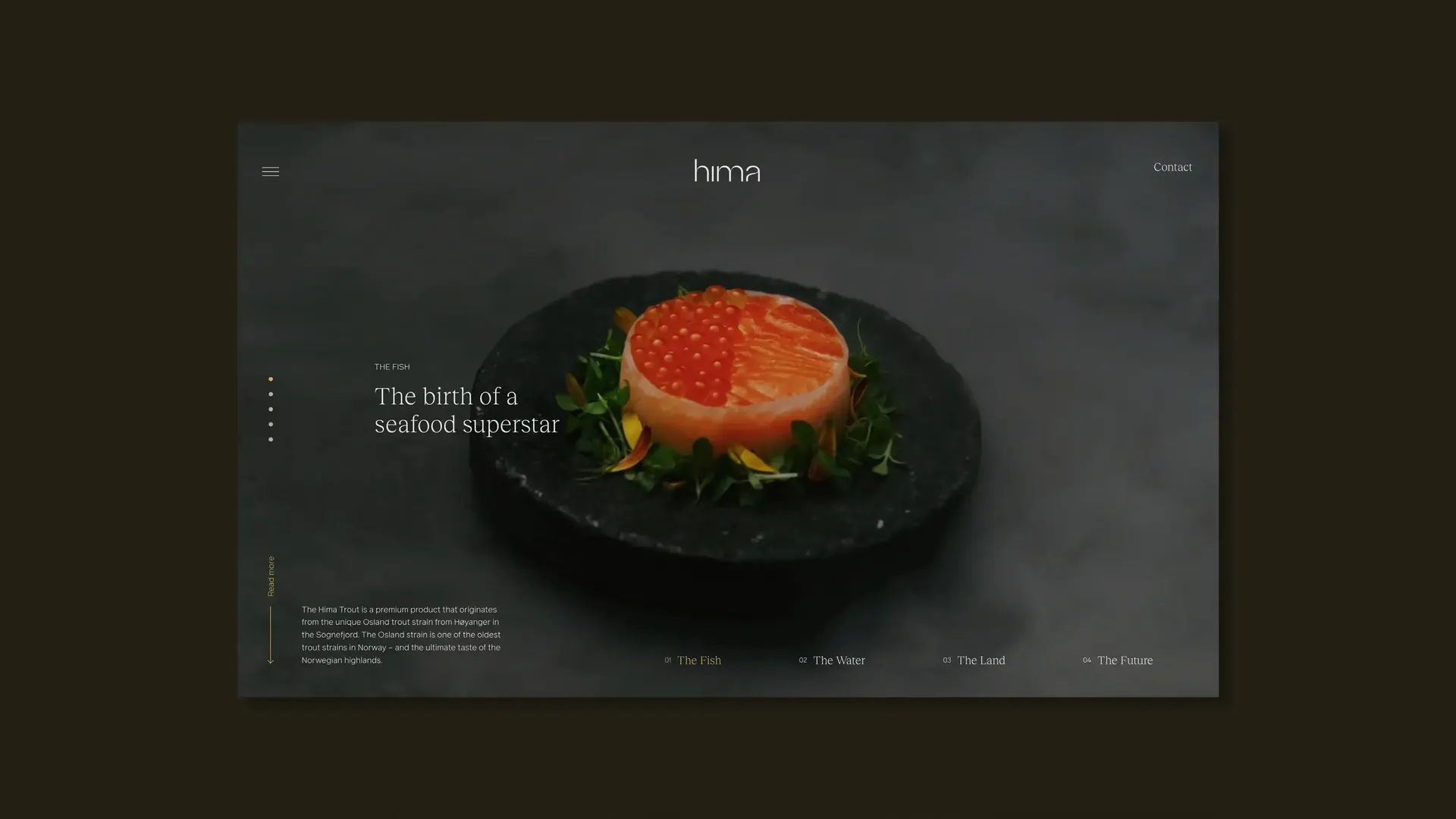 8 WEB Hima Graphic Design Promotional Publication9 v2