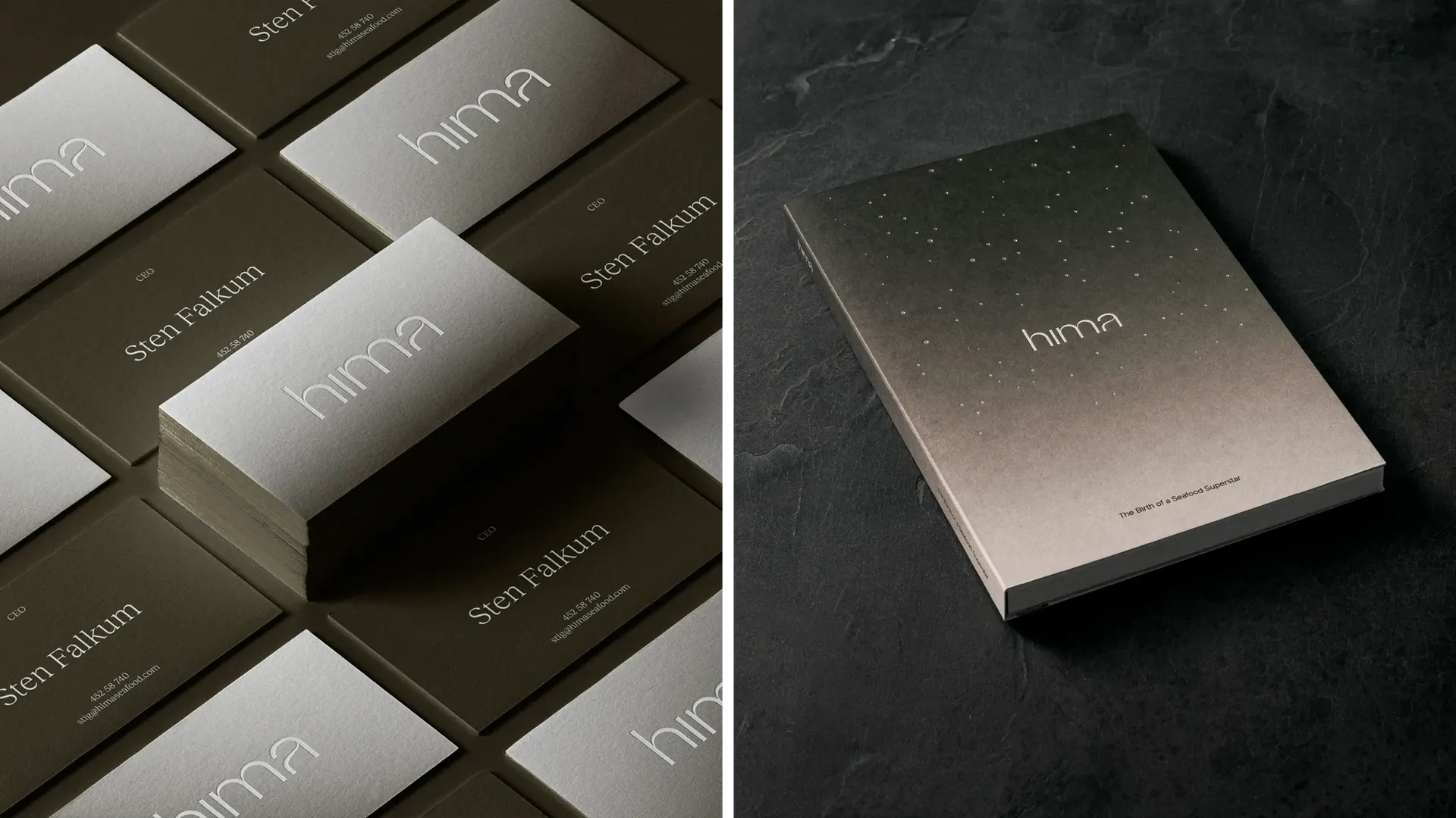 4 WEB Hima Graphic Design Promotional Publication4 copy