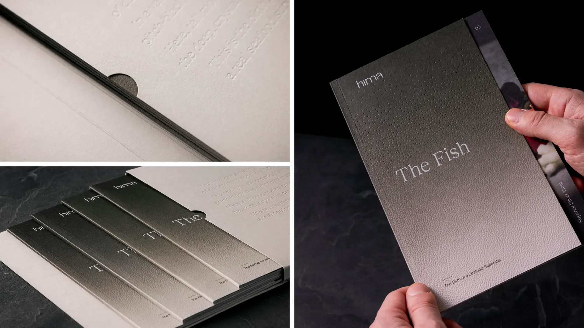 6 WEB Hima Graphic Design Promotional Publication5 copy