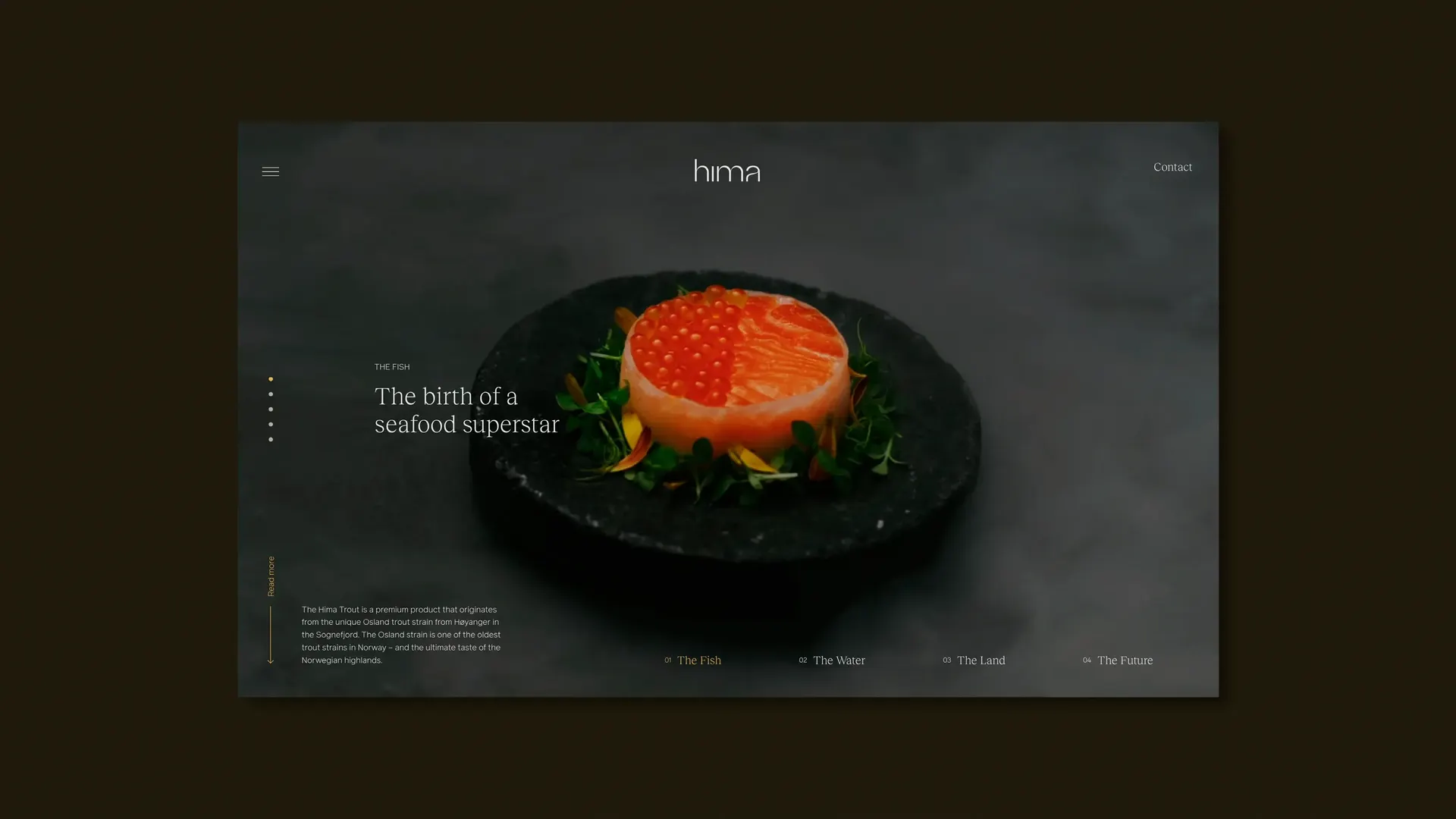 8 WEB Hima Graphic Design Promotional Publication9 copy