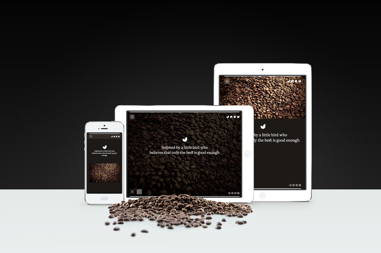 Jacu 20 Nedskalering Alle